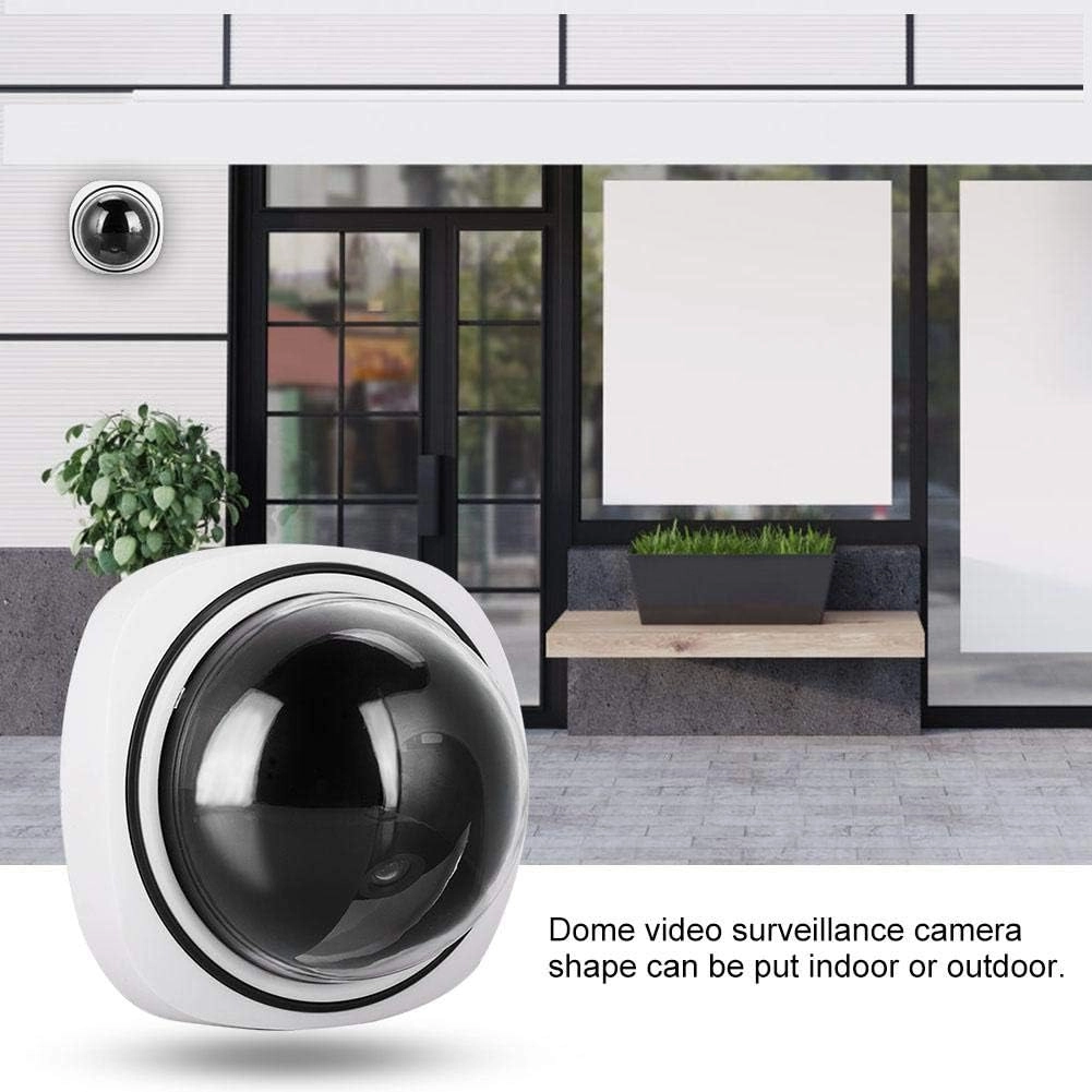 Simulated Dome Camera - Indoor Outdoor