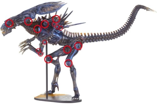 Revoltech Alien Queen - 22.4 cm (SG_B00457VY0E_US)