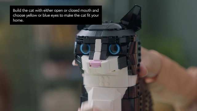 Ideas Tuxedo Cat (21349) - Multicolor