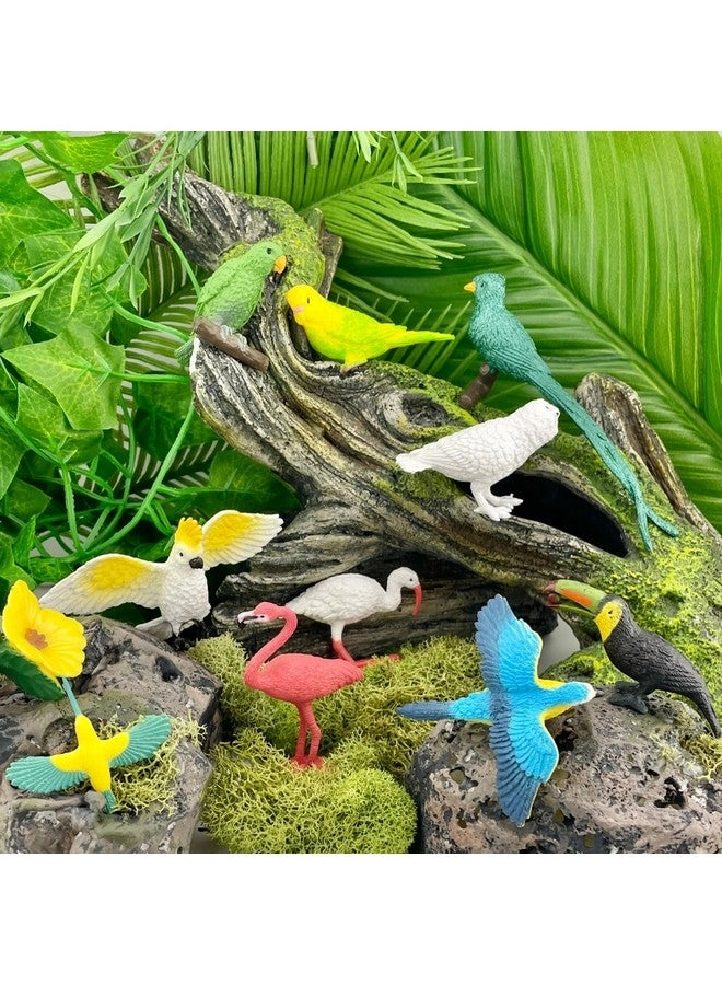 Exotic Birds TOOB 10 pcs