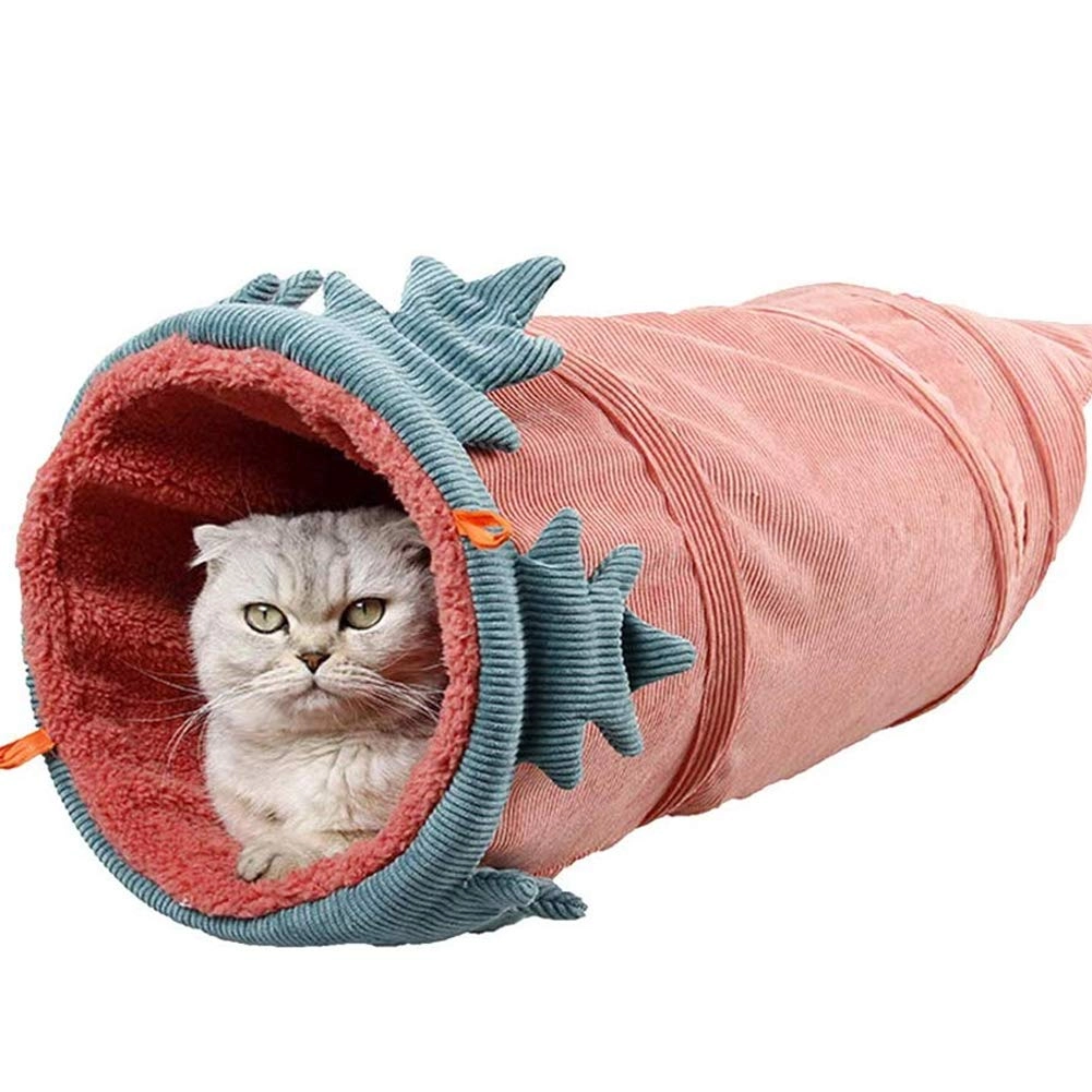 Cat Tunnel