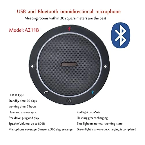 UBIAIEPDW USB+Wireless Microphone