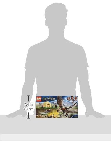 Harry Potter Hungarian Horntail Triwizard Challenge