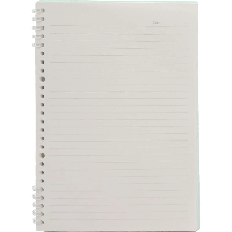 Notebook 19 X 26 cm Spiral - Grid 100 Sheets
