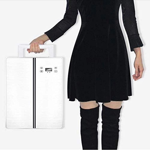 Car Double Door Mini Refrigerator - Dual Voltage Portable