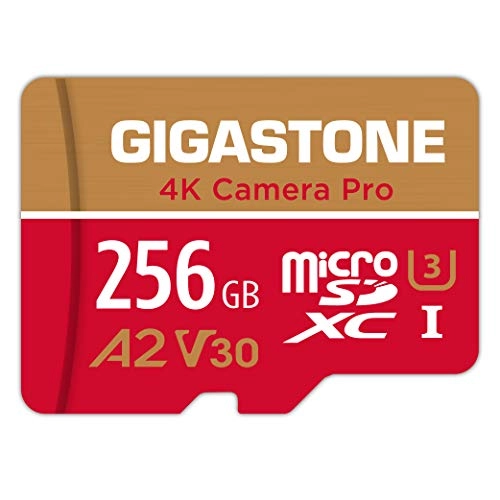 Micro SD Card - 256GB