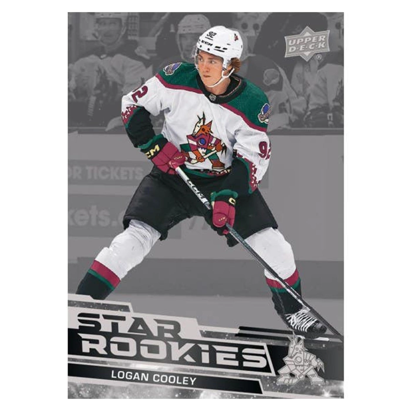 2023-24 Star Rookie Box Set