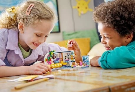 Friends Aliya's Room (41740)