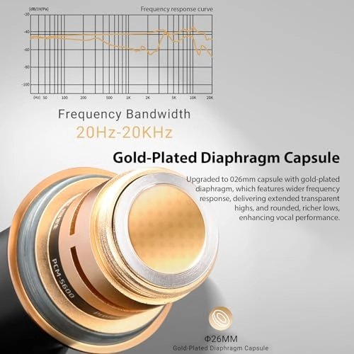 Luocute158pdhfakj XLR Microphone