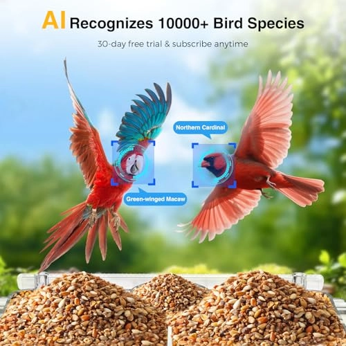 Close-Focus Window Bird Camera 2K