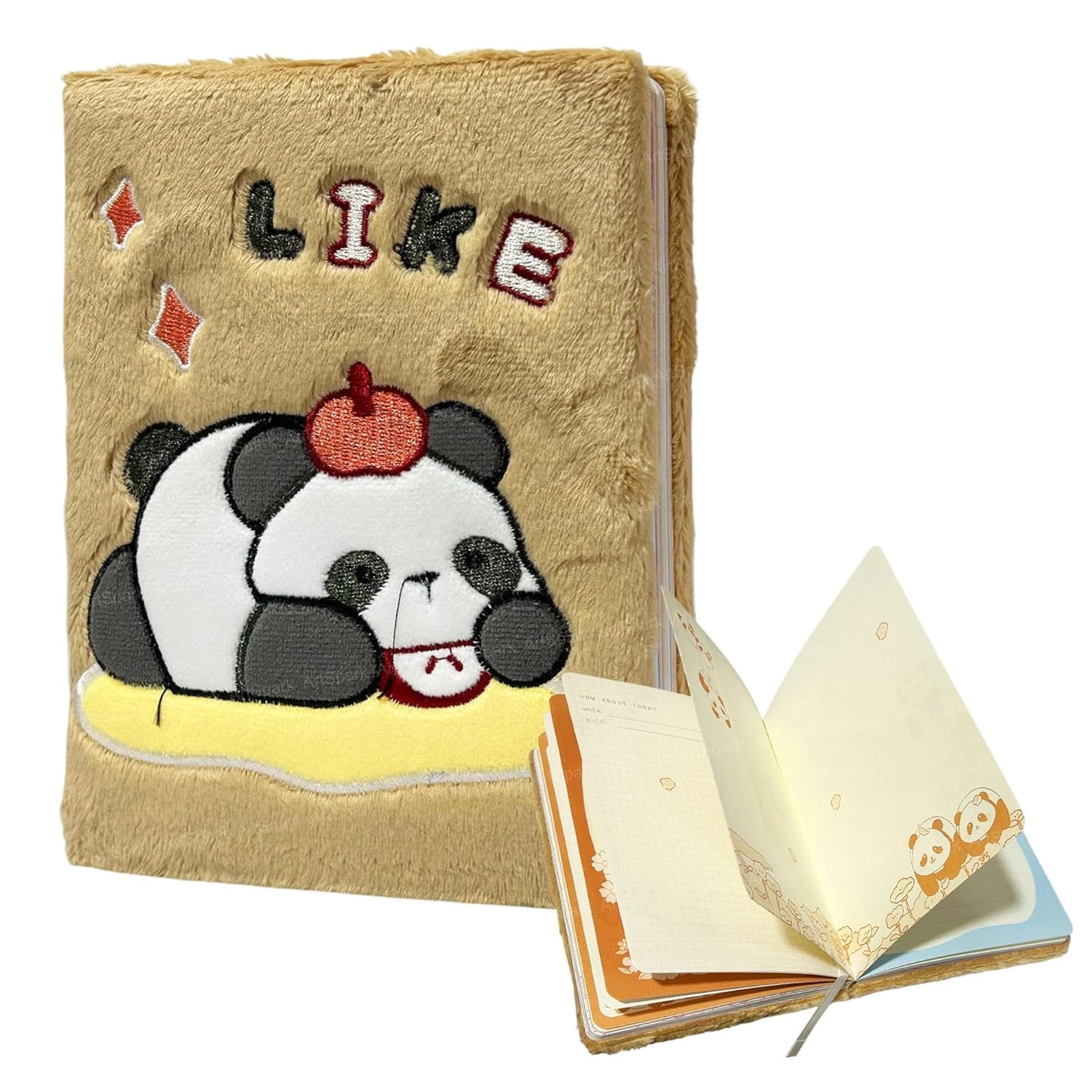 Diary for Girls