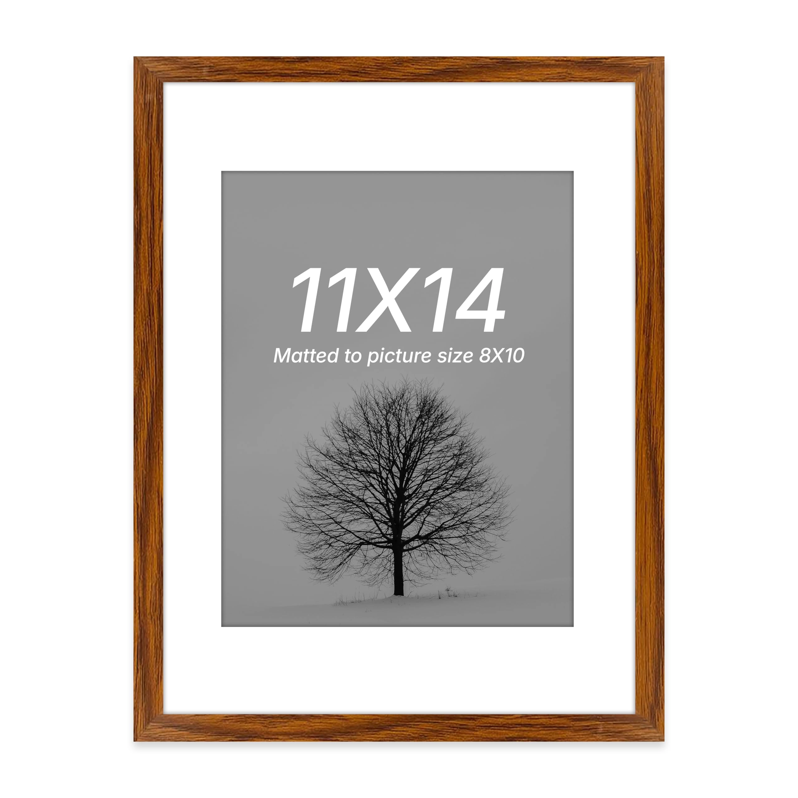 Document Frame - 11x14 Inch
