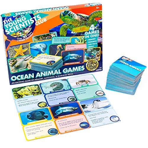Ocean Animals Card Games - 5 years and up