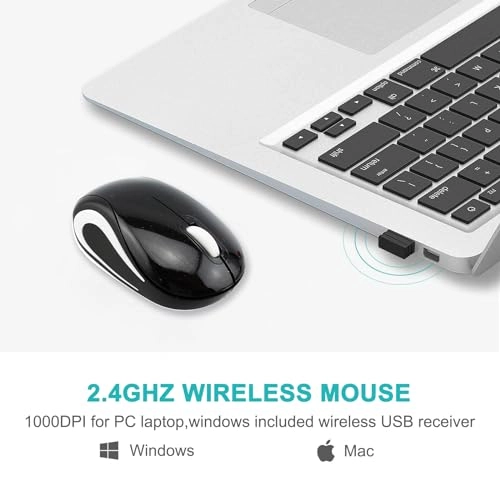 Cute Turtle Shape Mouse - USB