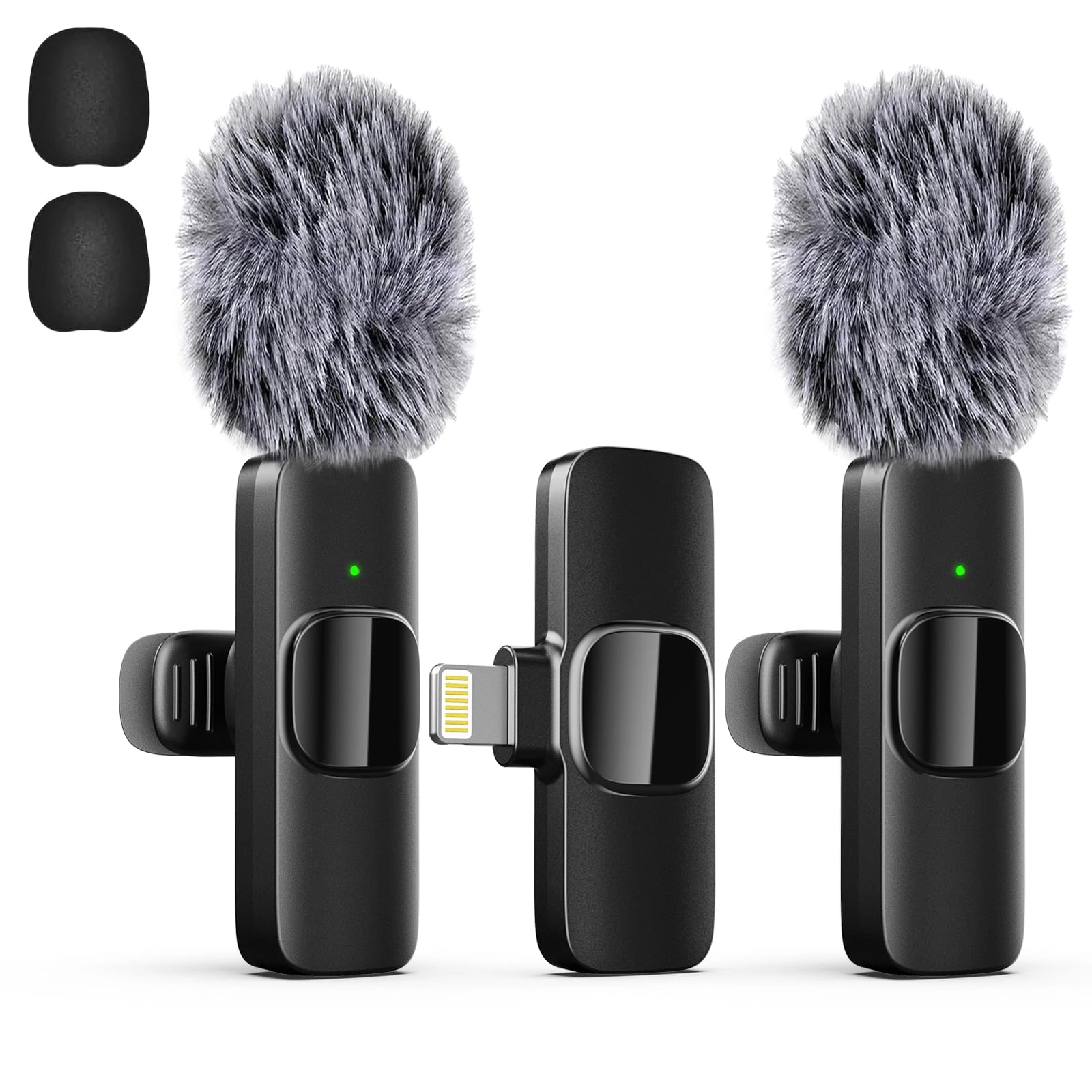 labstandard K9 - 2 Microphones 2.4G