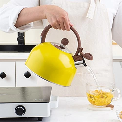 Kettle - Stainless Steel Auburn