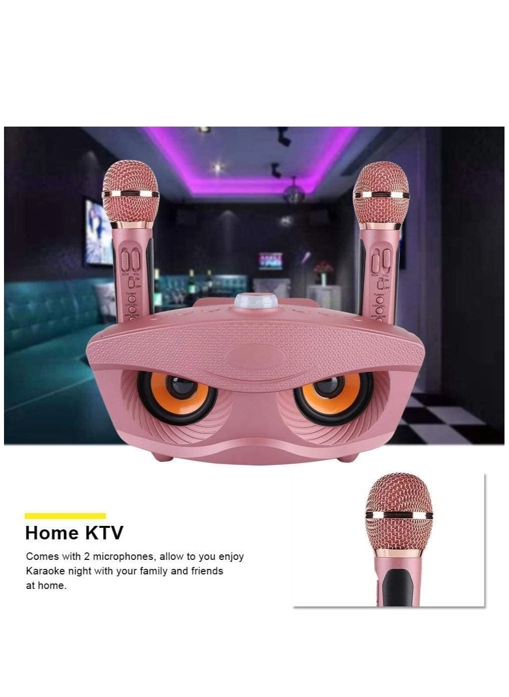 KTS-1000 - 2 Wireless Mics