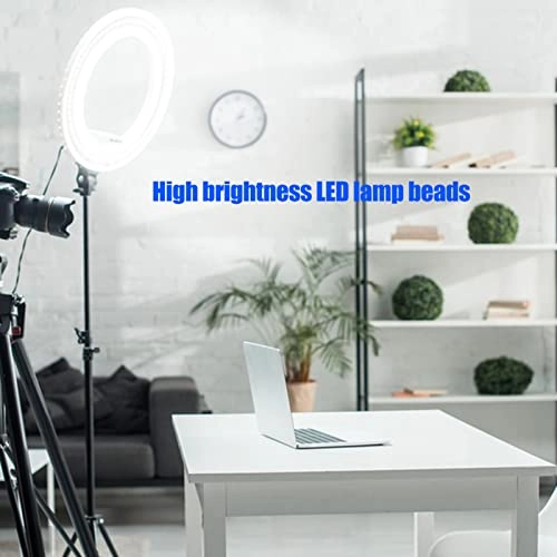 LED Ringlight - 29cm