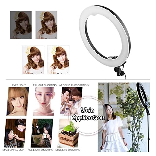 Ring Light - 19 Inch