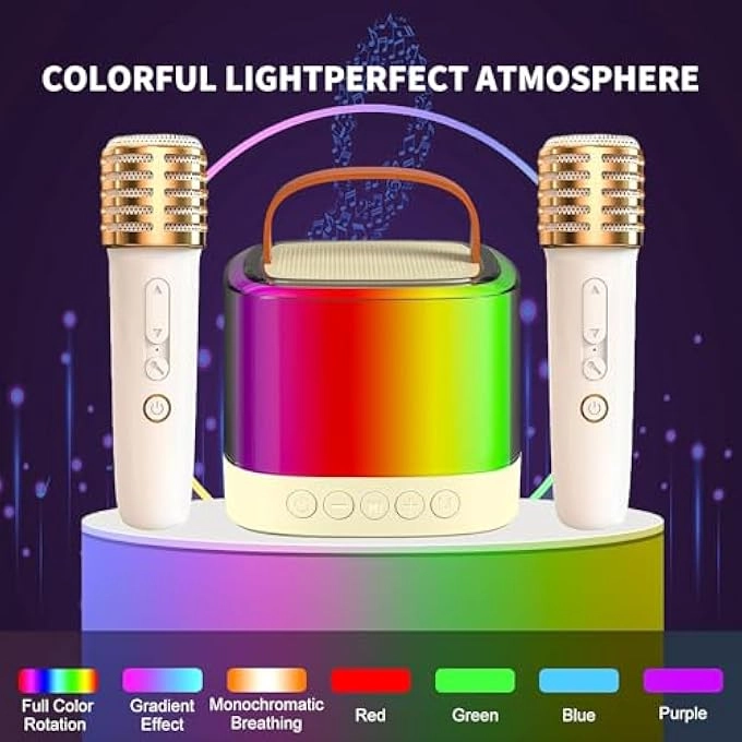 Portable Karaoke Machine