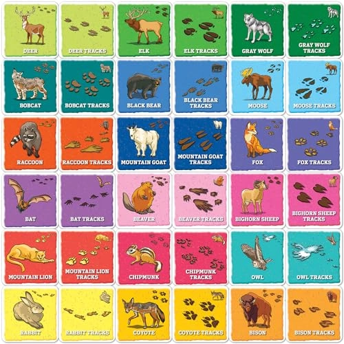 Jr Ranger - 3+ 1 pieces