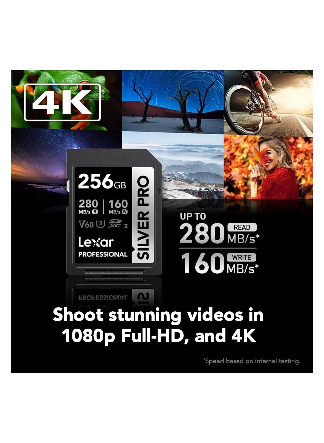 Professional Silver Pro SDXC UHS-II U3 256GB