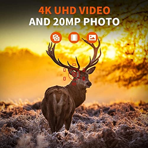 Trail Camera Dual-Lens - 20MP