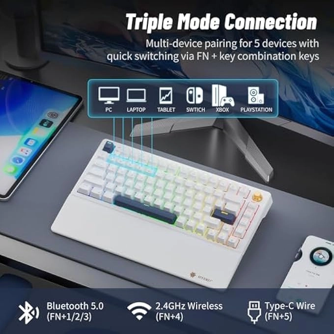 E2s Pro - Wired/Wireless