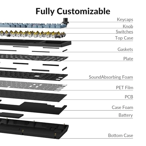 V5 Max - US Wired/Wireless