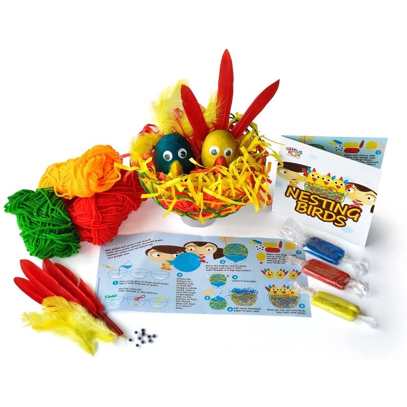 Feathered Friends Educational Activity Kit - Suitable for 3 years & above
