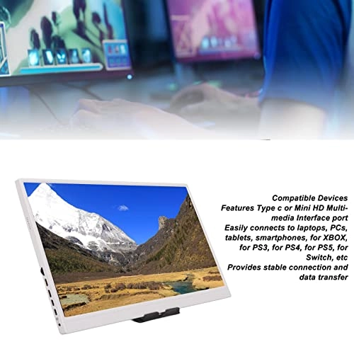 Type C External Monitor - FHD 1080p 17.3 Inches