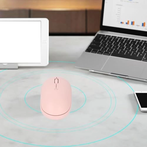 Silent Mouse - Wireless