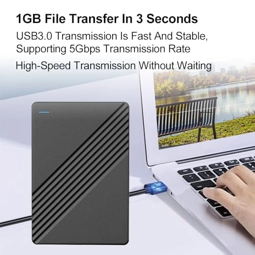 External Hard Drive - 80GB 2.5'' SSD