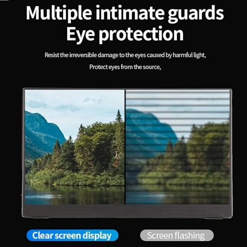 Portable Monitor - FHD 14 Inch