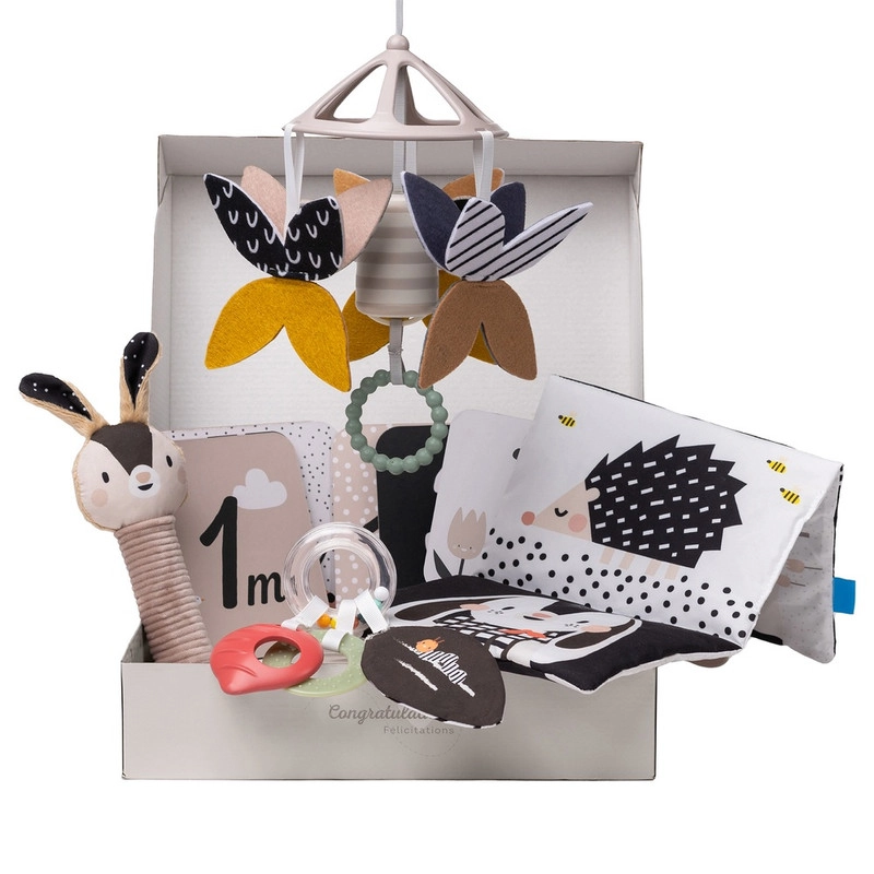 Taf Toys Newborn Kit - 0 Months