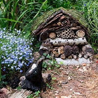 Wildlife Gardening