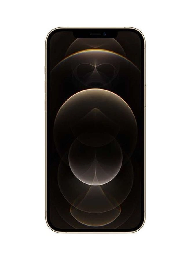 (Renewed) iPhone 12 Pro Max - 256GB