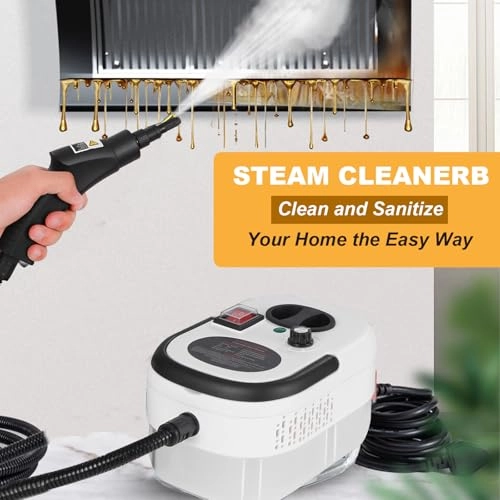 Hand Held Steam Cleaner