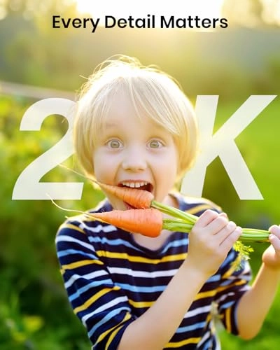 Solar Security Camera 2K