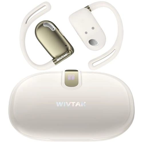 L1 Wireless Earbud