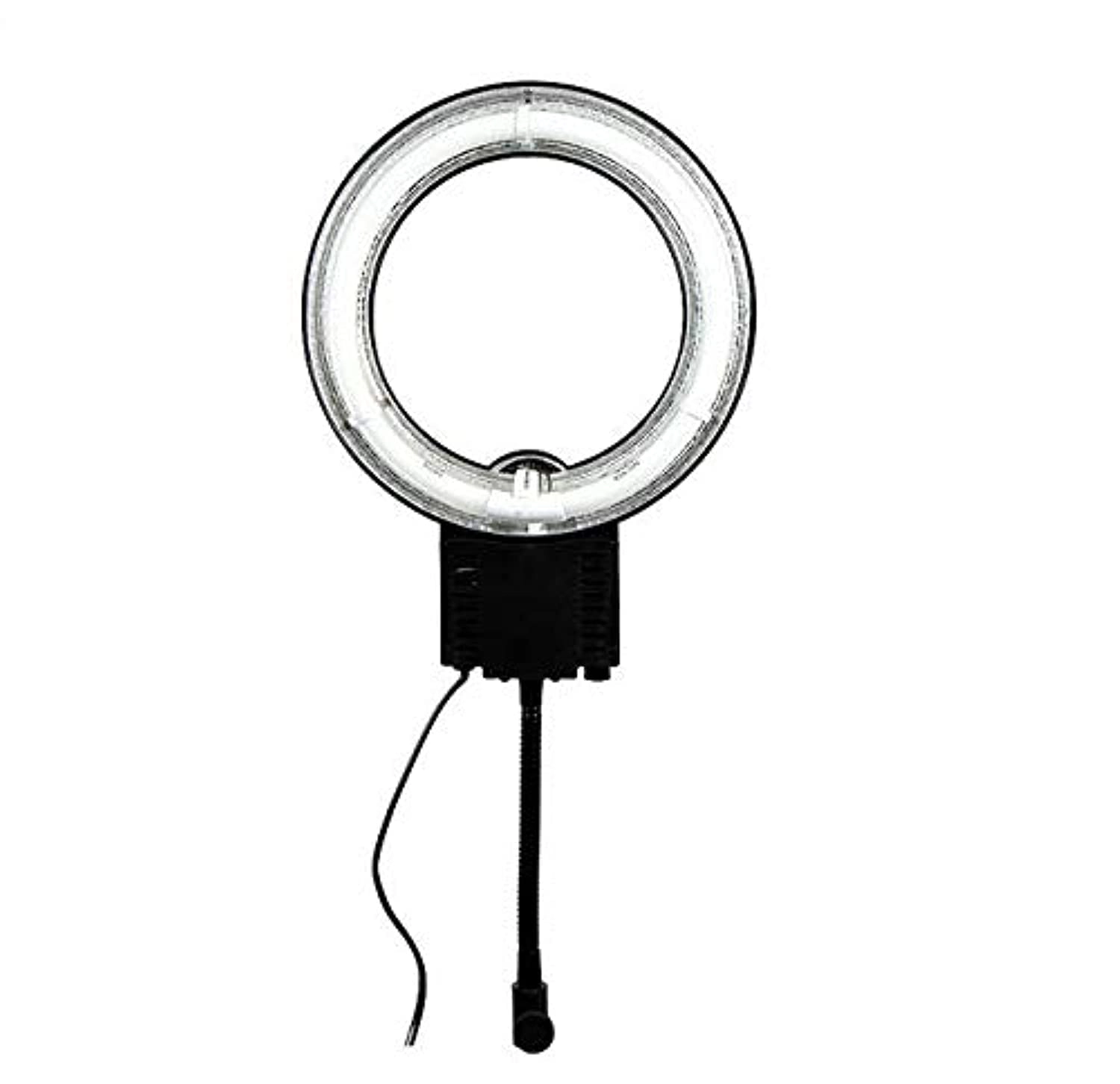 LED Ring Light
