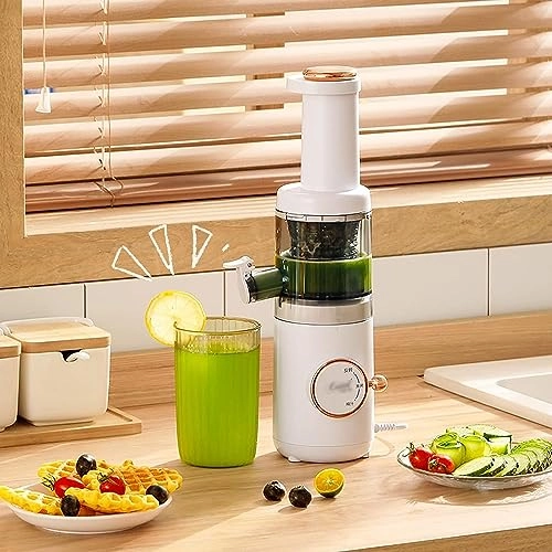 Compact Masticating Slow Juicer - 120W 620 Milliliters
