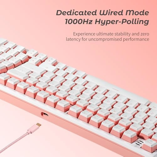 X4 - US Wired/Wireless