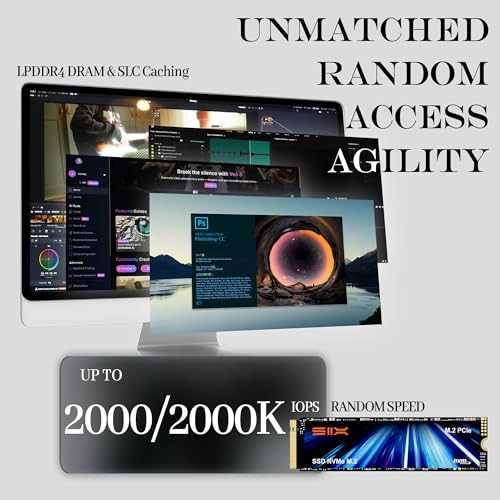 X15000 - 2TB 2280 Inches
