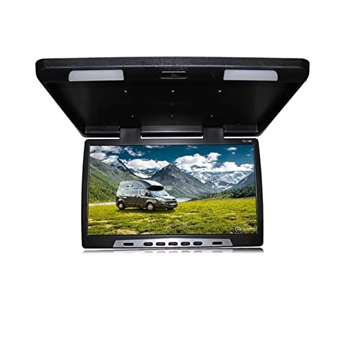 Car Ceiling Display - 19 Inch