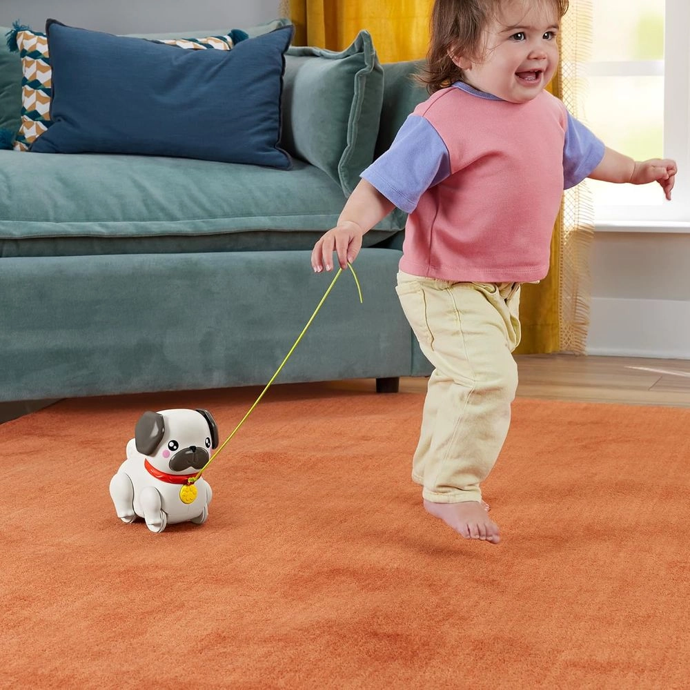 Walking With Puppy Pull-Along Toy - pug