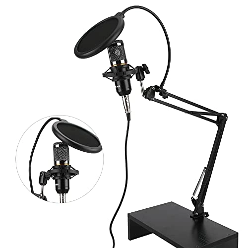 Eujgoovdphf18gbvr6120 USB Microphone