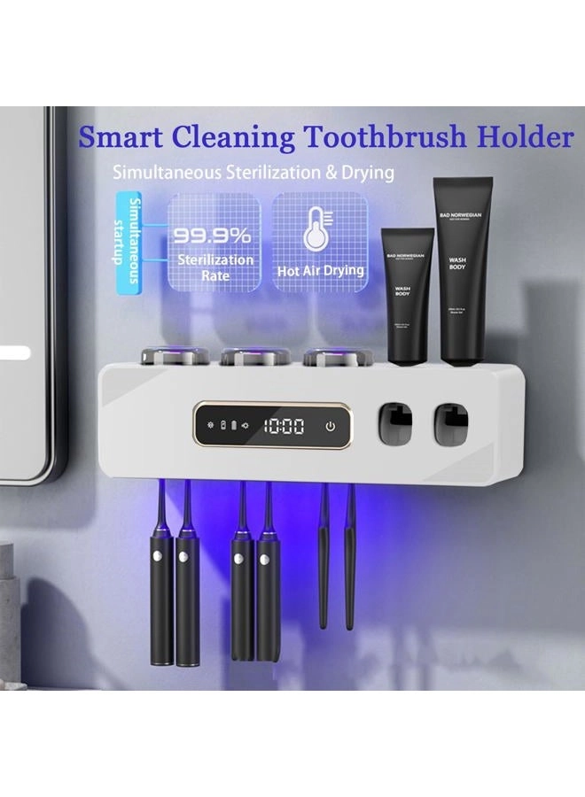 YSJ06 - wall-mounted 6 toothbrush slots