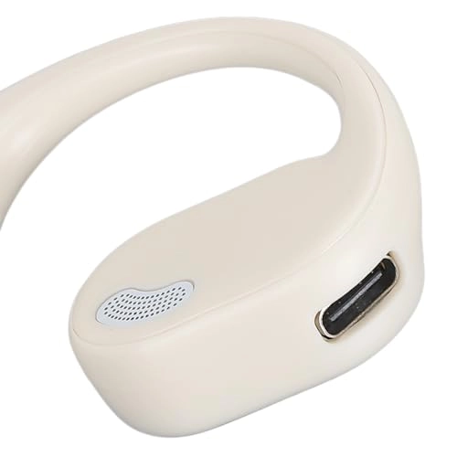 dg45c17y69-13 Wireless Earbud
