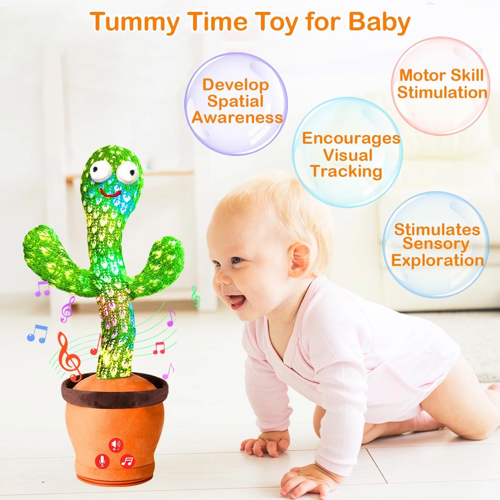 T-001 - Cactus 18 months+